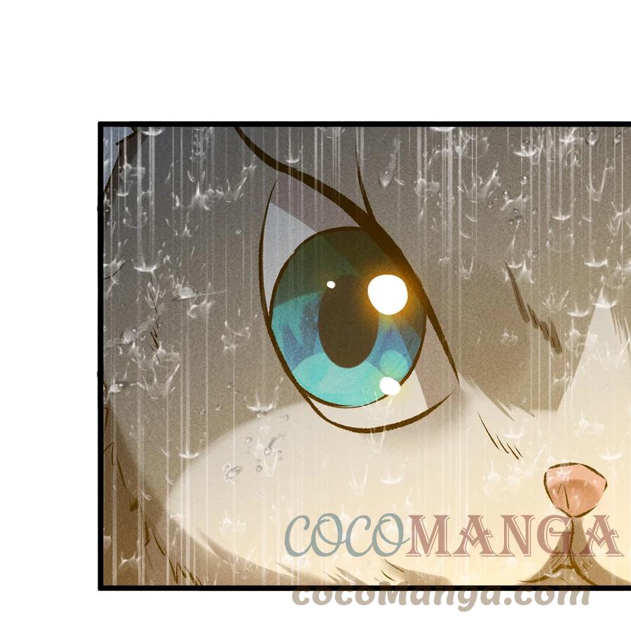 《别再召唤我啦！》019 猫与女孩 第55页