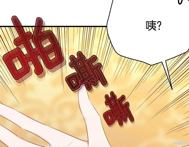 《明明是冷美人小姐却变成了忠犬大少爷》第72话 第23页