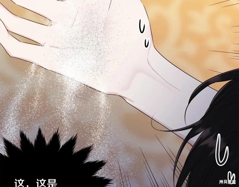 《明明是冷美人小姐却变成了忠犬大少爷》第72话 第24页