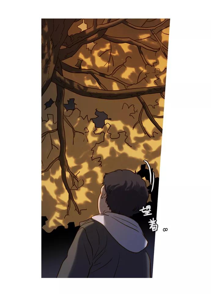 《怦然的魔幻时刻》第55话 第48页