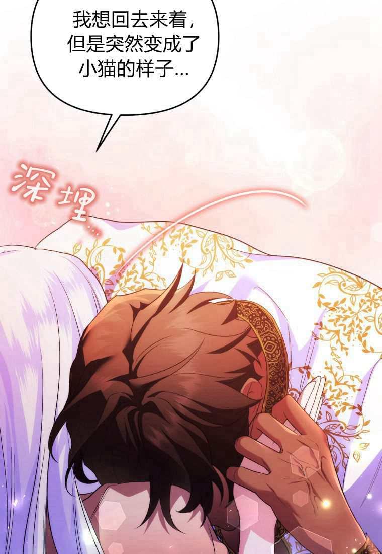 成为苏尔坦珍爱的猫咪 第42话 第17页