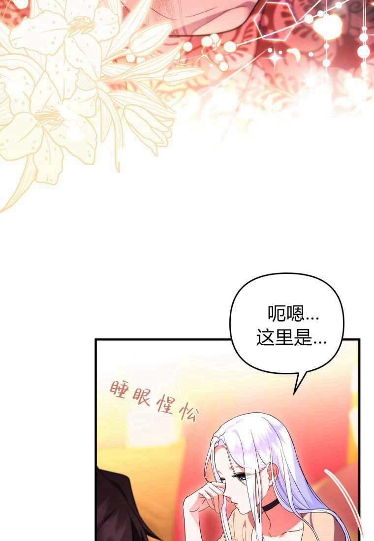 成为苏尔坦珍爱的猫咪 第42话 第2页