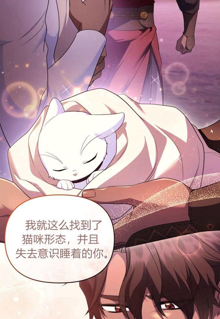 成为苏尔坦珍爱的猫咪 第42话 第14页
