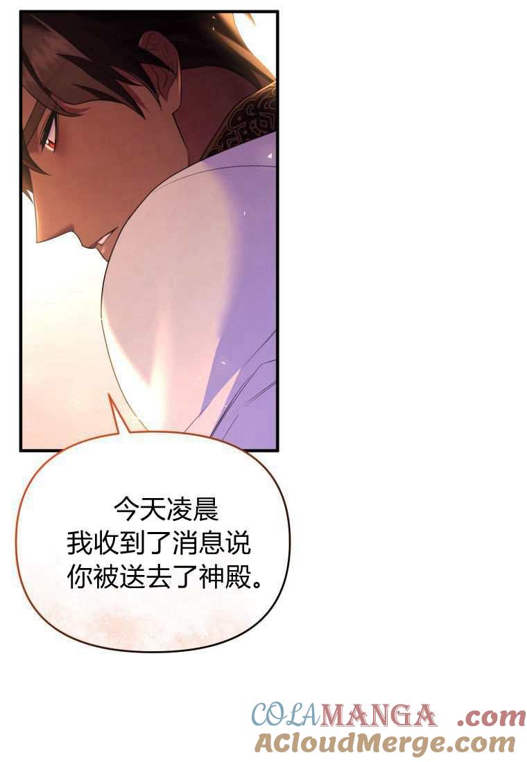 成为苏尔坦珍爱的猫咪 第42话 第12页