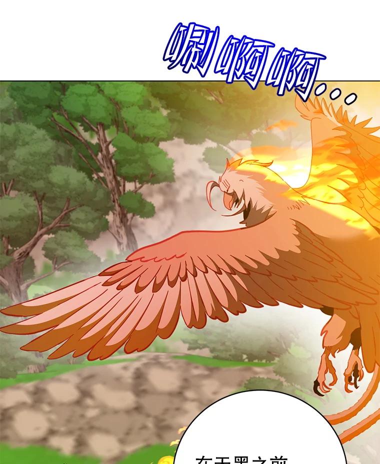 《顶级英雄归来》171.驯服朱雀 第106页