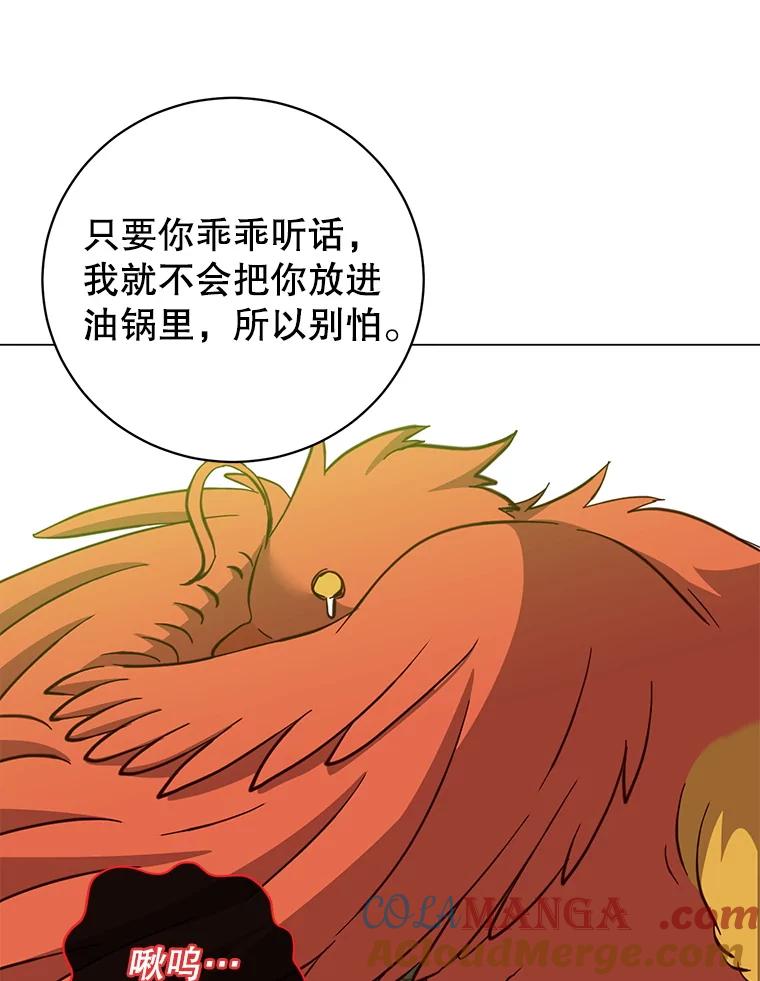 《顶级英雄归来》171.驯服朱雀 第97页