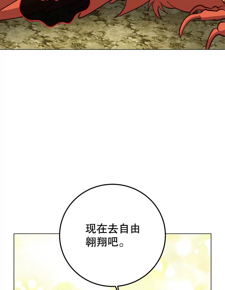 《顶级英雄归来》171.驯服朱雀 第98页
