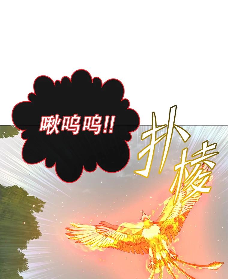 《顶级英雄归来》171.驯服朱雀 第102页