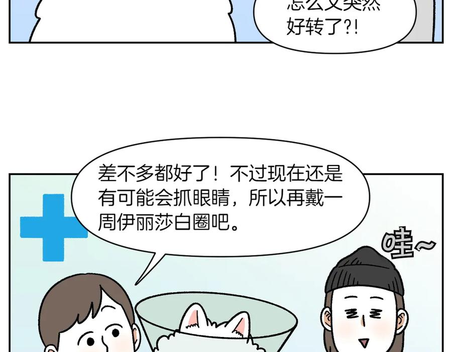 《我的狗子叫棉花》第44话 治疗眼病(3) 第20页
