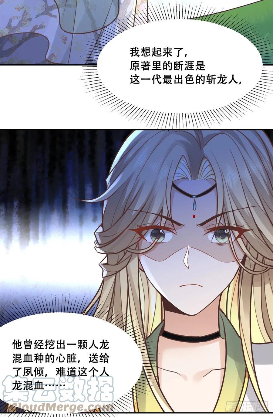 病娇王爷靠我续命 - 51 斩龙人竟然是他？ - 第31张图