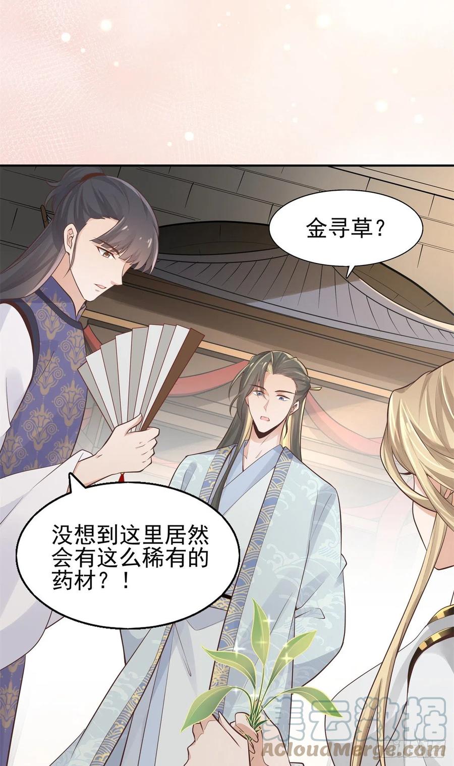 病娇王爷靠我续命 - 07 寻草药救黑心肝 - 第27张图
