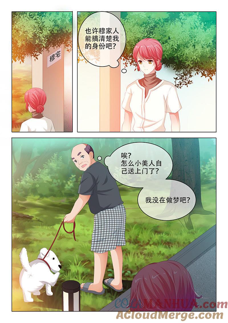 《冰山首席：枕上替嫁新娘》第137话 第7页