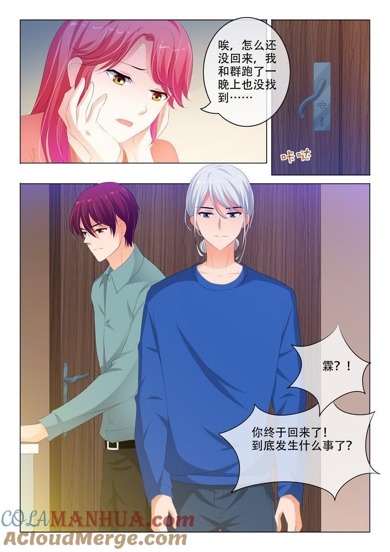 《冰山首席：枕上替嫁新娘》第182话 第7页