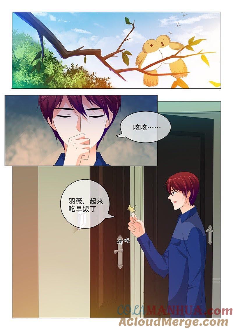 《冰山首席：枕上替嫁新娘》第183话 第5页