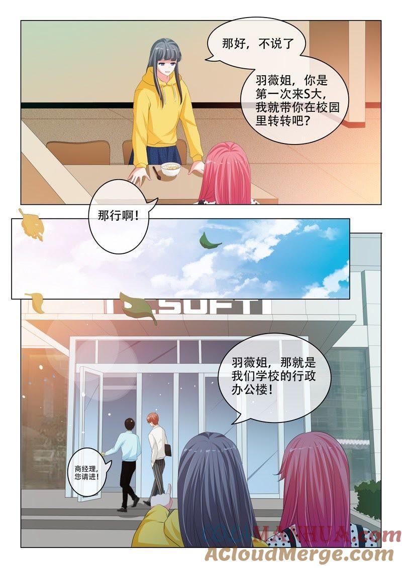 《冰山首席：枕上替嫁新娘》第194话 第8页