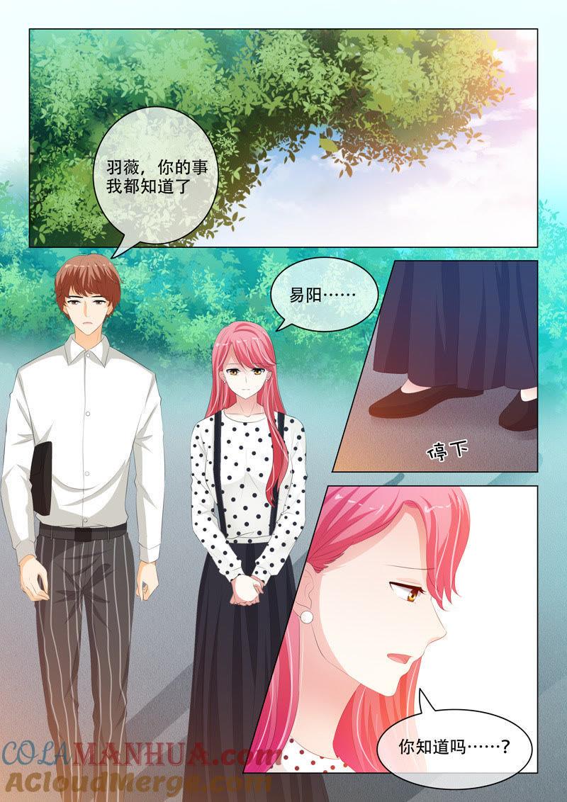 《冰山首席：枕上替嫁新娘》第196话 第2页