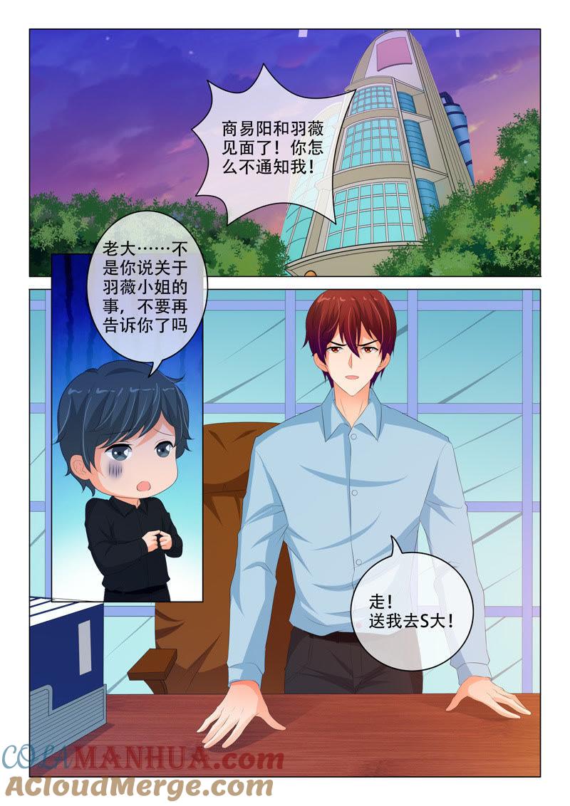 《冰山首席：枕上替嫁新娘》第197话 第2页