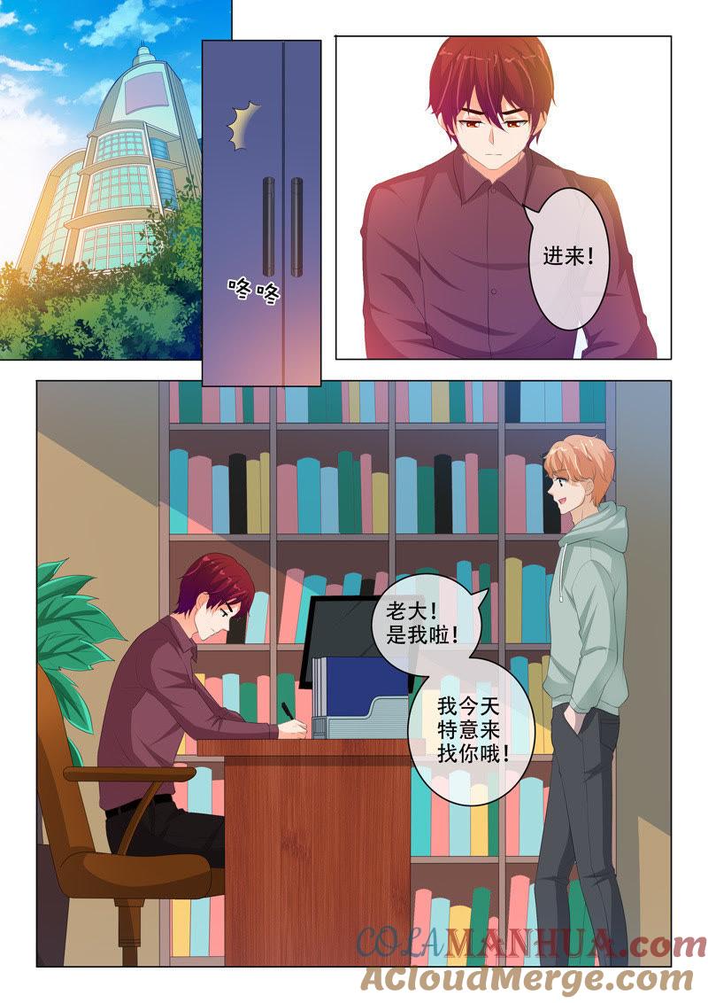 《冰山首席：枕上替嫁新娘》第198话 第6页