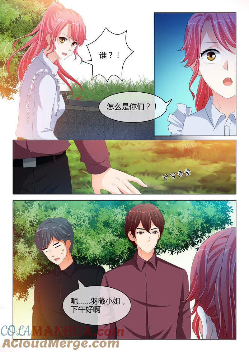 《冰山首席：枕上替嫁新娘》第201话 第3页