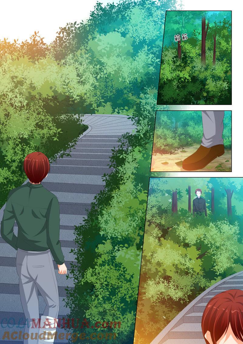 《冰山首席：枕上替嫁新娘》第206话 第8页
