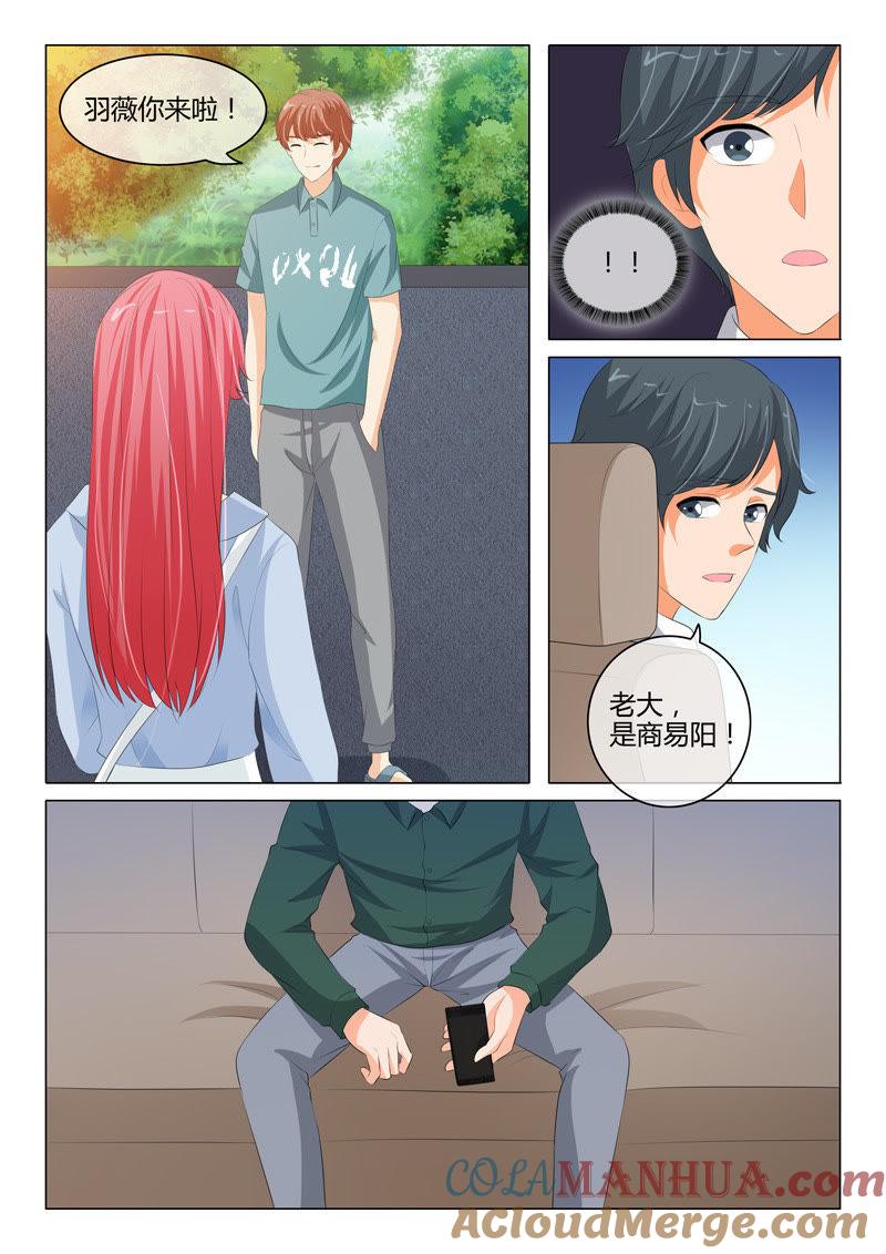 《冰山首席：枕上替嫁新娘》第207话 第3页