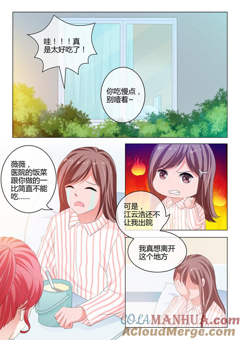 《冰山首席：枕上替嫁新娘》第212话 第8页