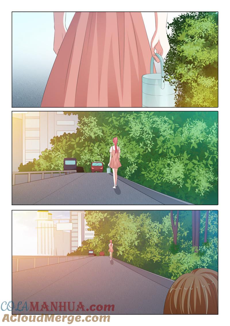 《冰山首席：枕上替嫁新娘》第213话 第4页
