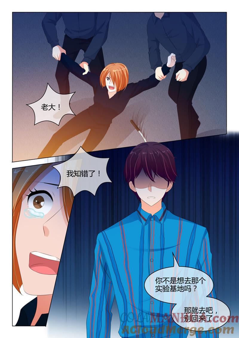 《冰山首席：枕上替嫁新娘》第214话 第6页