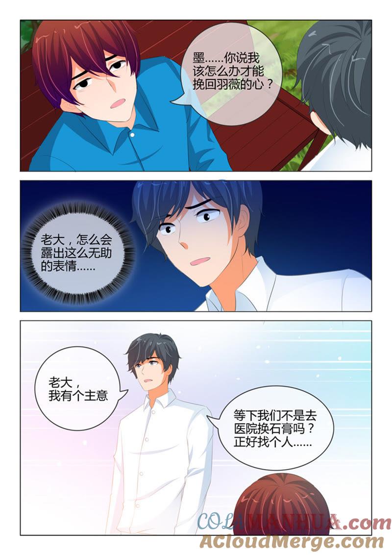 《冰山首席：枕上替嫁新娘》第217话 第5页