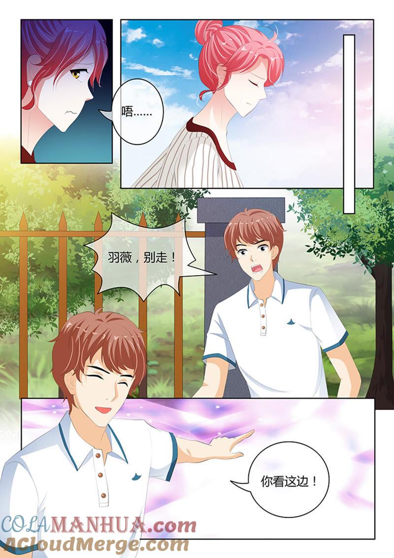 《冰山首席：枕上替嫁新娘》第231话 第3页