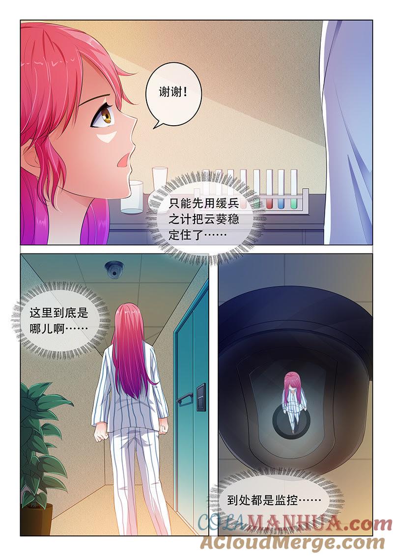 《冰山首席：枕上替嫁新娘》第48话 第2页