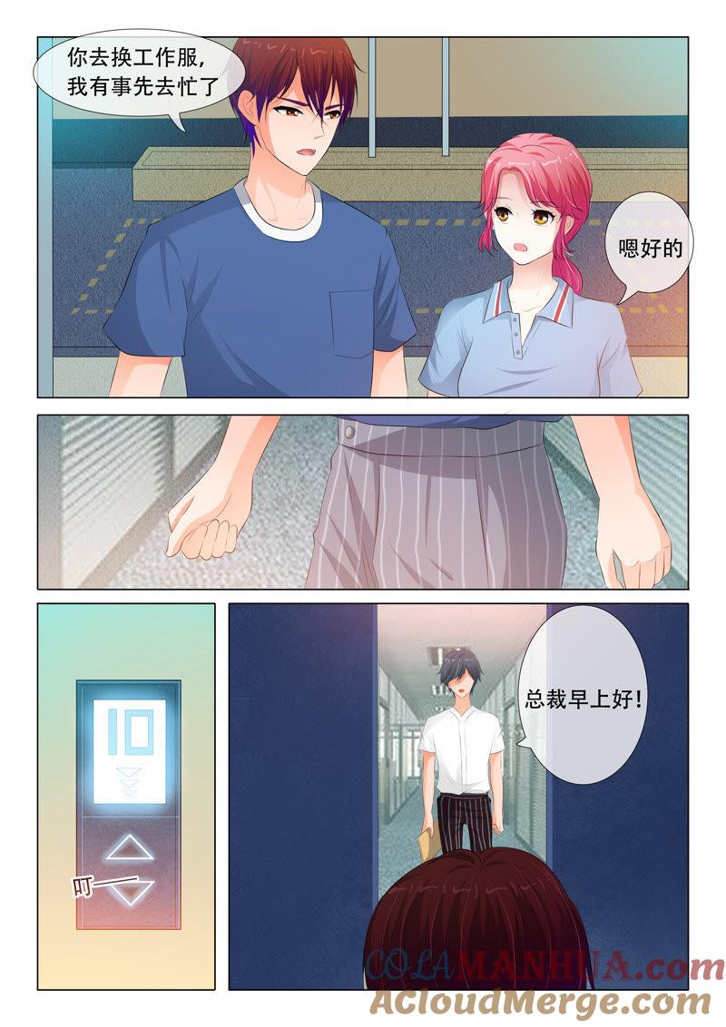 《冰山首席：枕上替嫁新娘》第88话 第8页