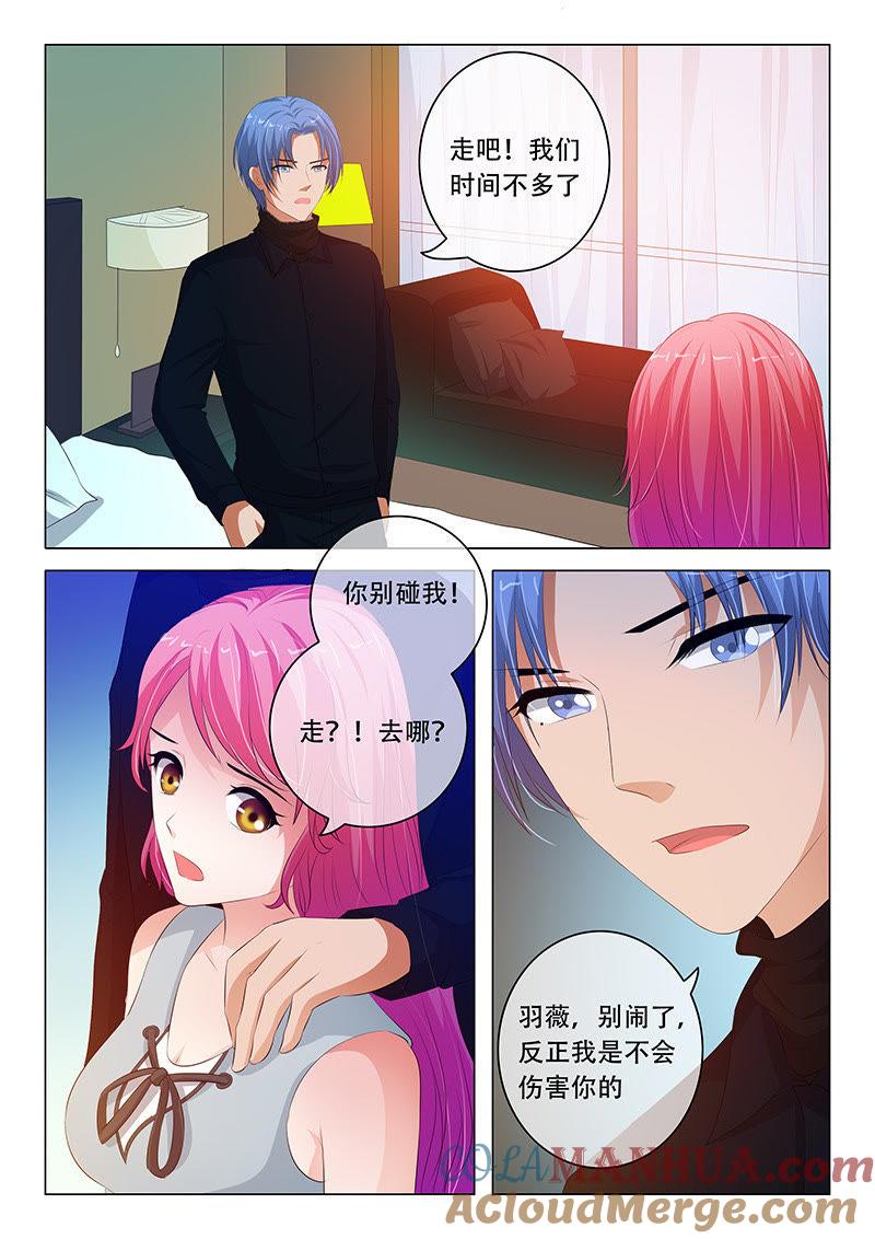 《冰山首席：枕上替嫁新娘》第96话 第8页
