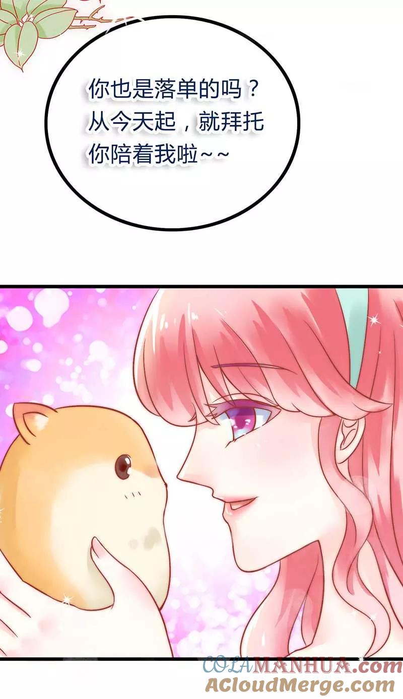 冰山总裁的冒牌新娘 第21话 萌宠好有爱 第23页