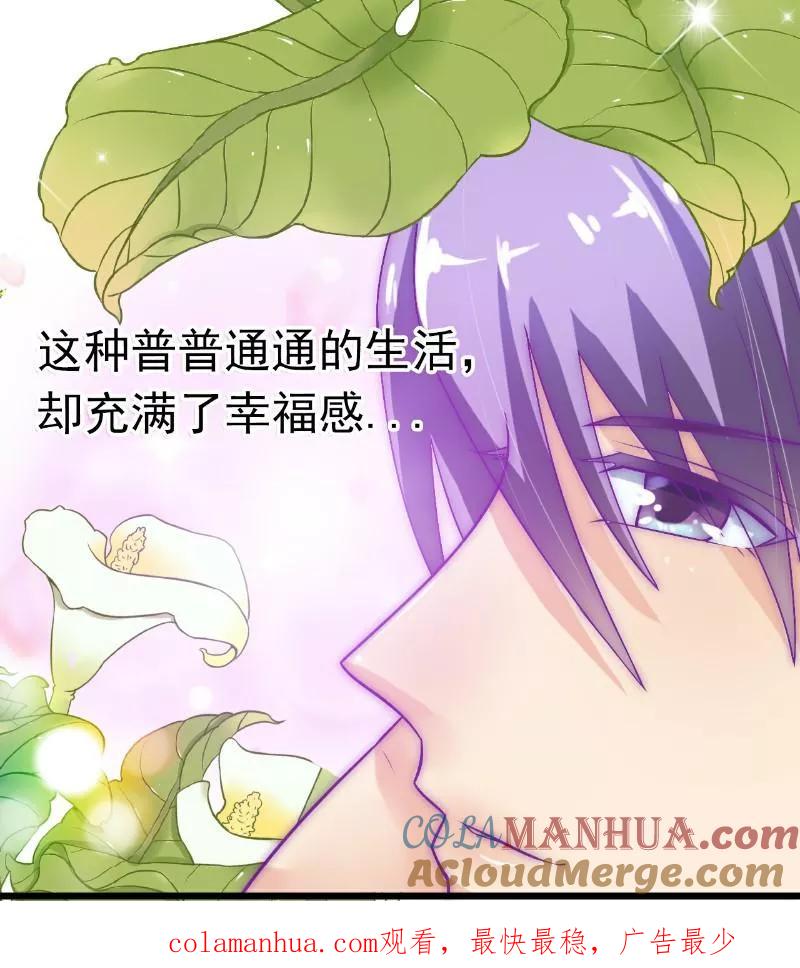 冰山总裁的冒牌新娘 第43话 做饭的她很漂亮 第25页