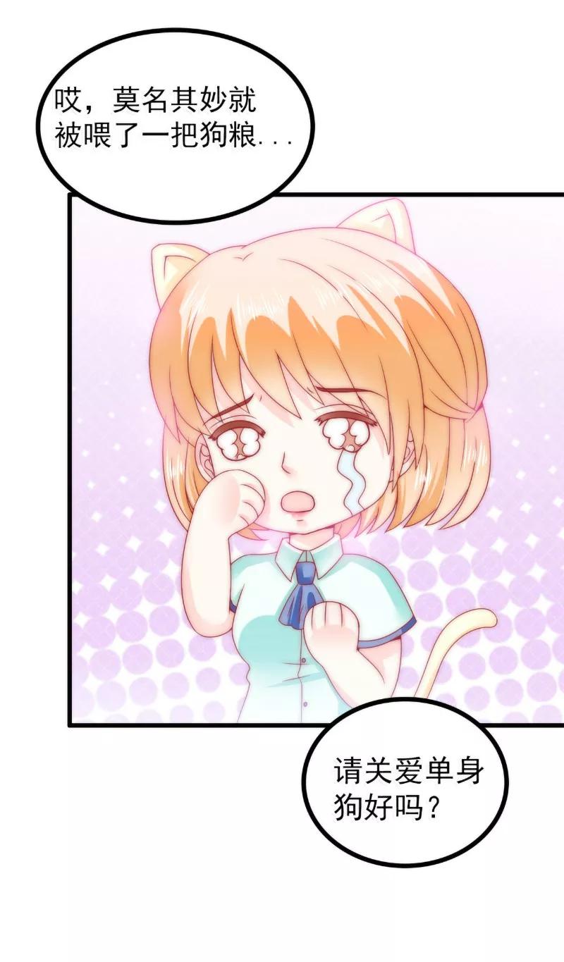 冰山总裁的冒牌新娘 第83话 拜托不要撒狗粮了！ 第22页