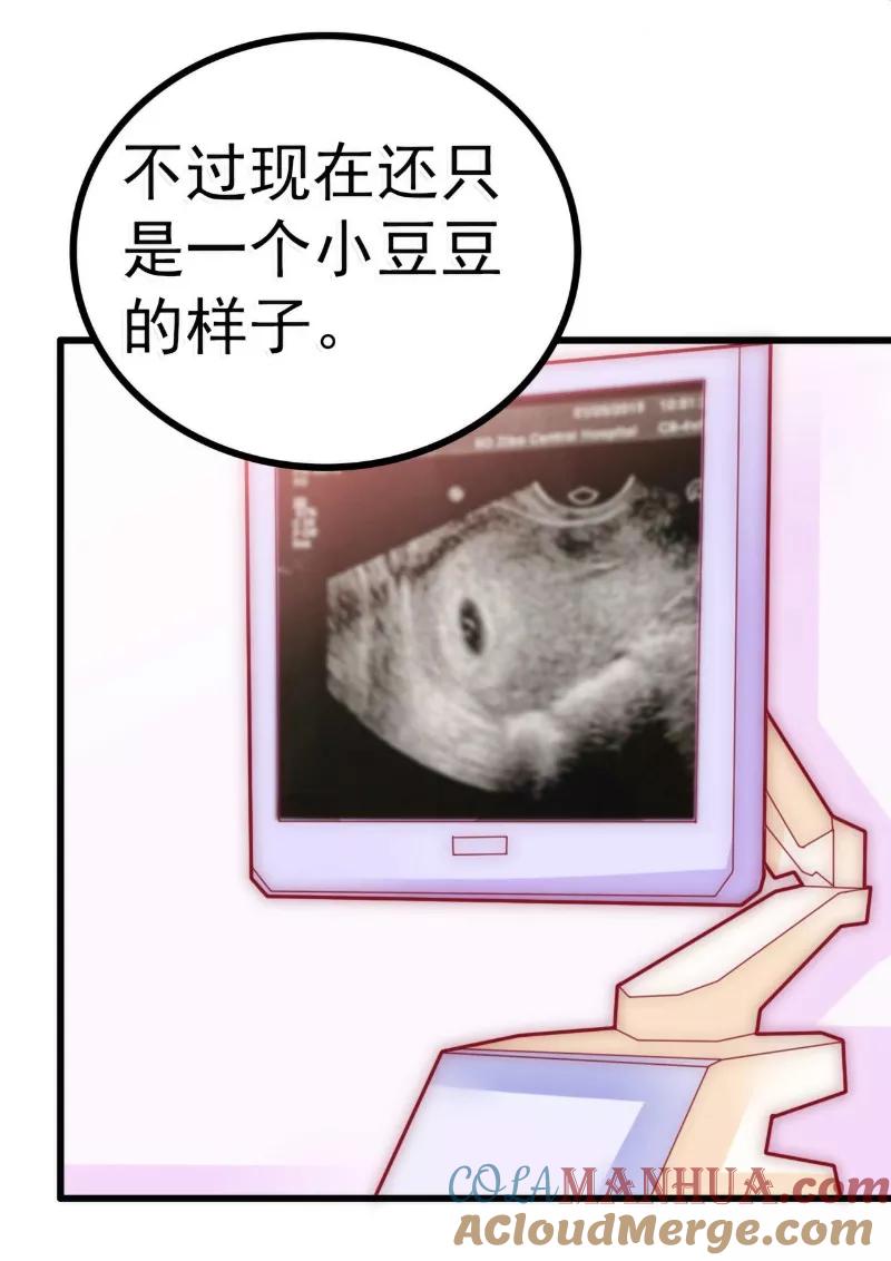 冰山总裁的冒牌新娘 第88话 就叫他小豆子吧！ 第8页