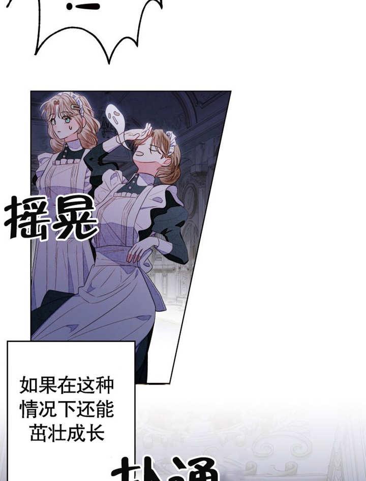 比起公主，侍女才是我的天职 - 第11话 - 第27张图