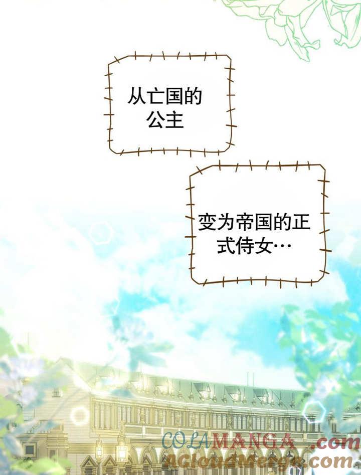 比起公主，侍女才是我的天职 - 第11话 - 第4张图