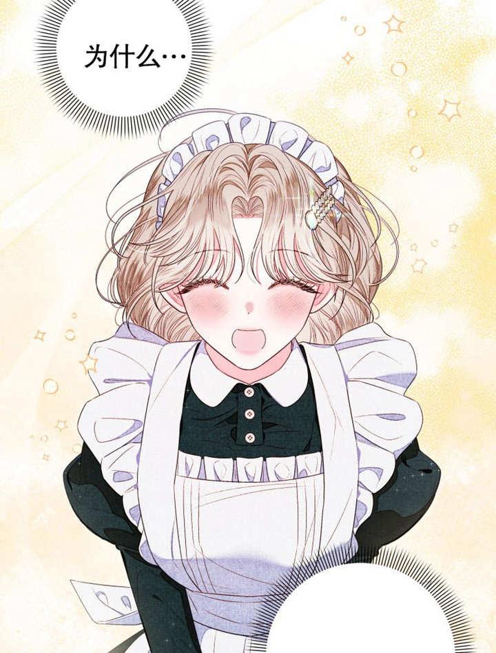 比起公主，侍女才是我的天职 - 第11话 - 第38张图