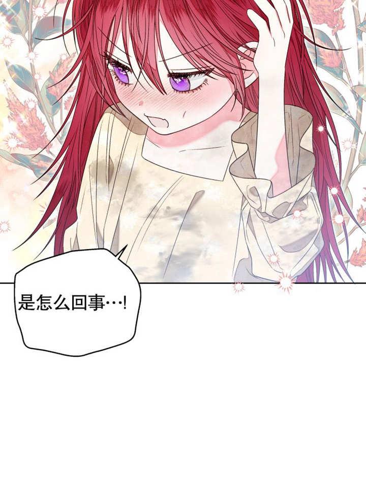 比起公主，侍女才是我的天职 - 第12话 - 第54张图