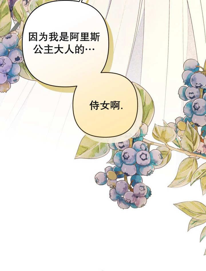 比起公主，侍女才是我的天职 - 第14话 - 第48张图