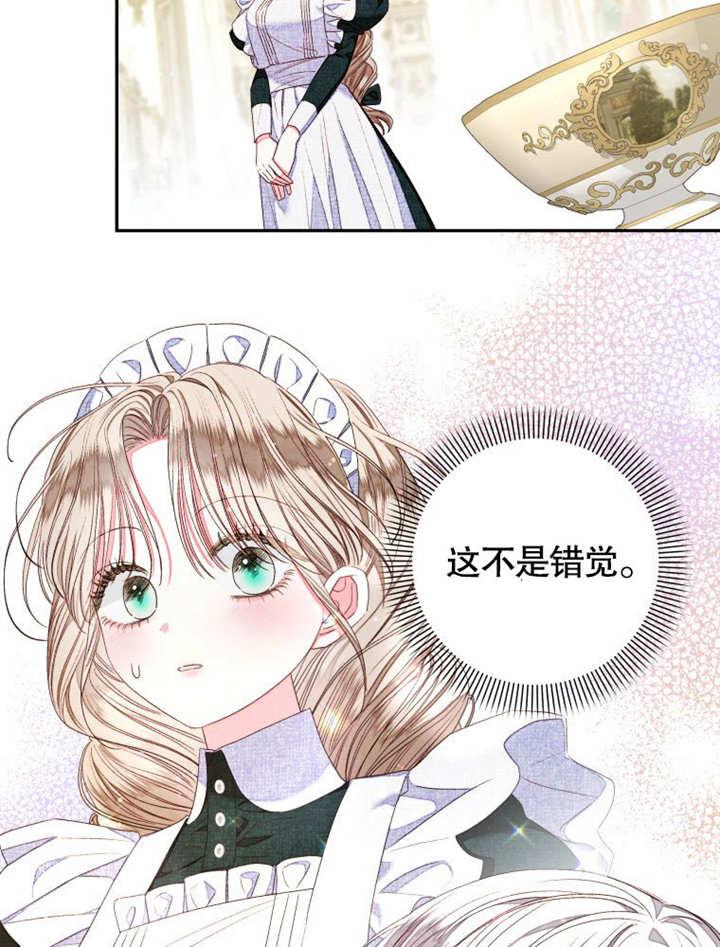 比起公主，侍女才是我的天职 - 第15话 - 第20张图