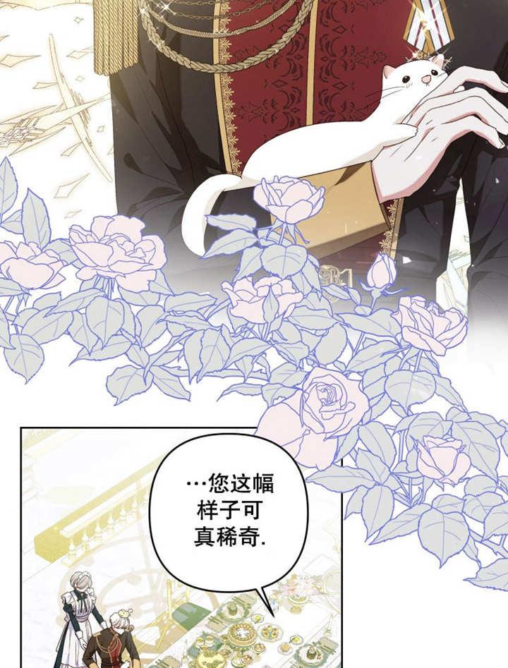 比起公主，侍女才是我的天职 - 第24话 - 第45张图