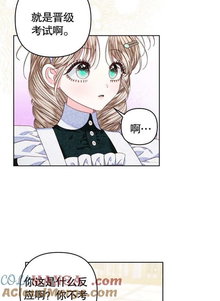 比起公主，侍女才是我的天职 - 第25话 - 第40张图