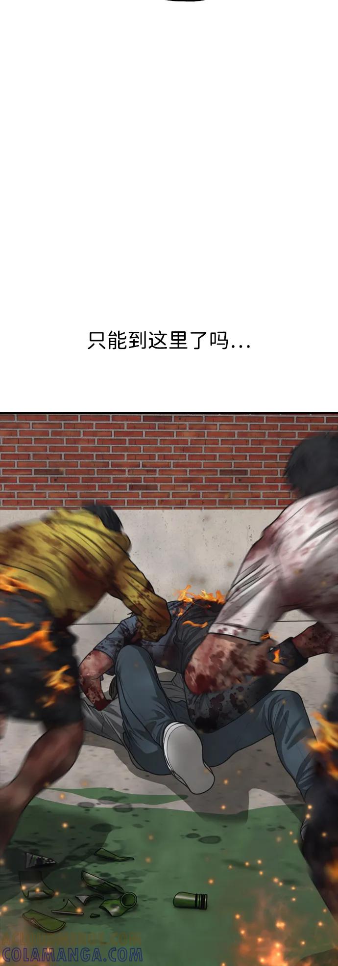97.jpg
