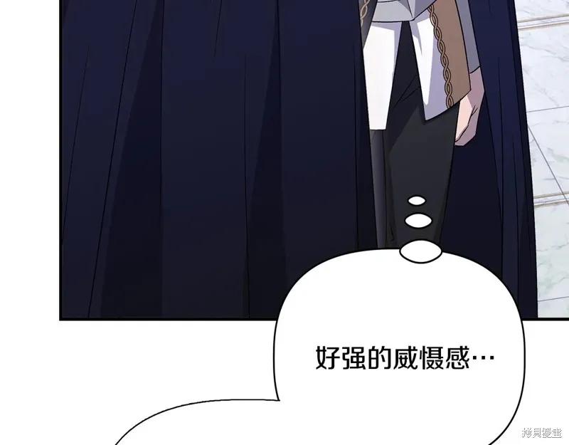 我不再是灰姑娘 第113话 第76页
