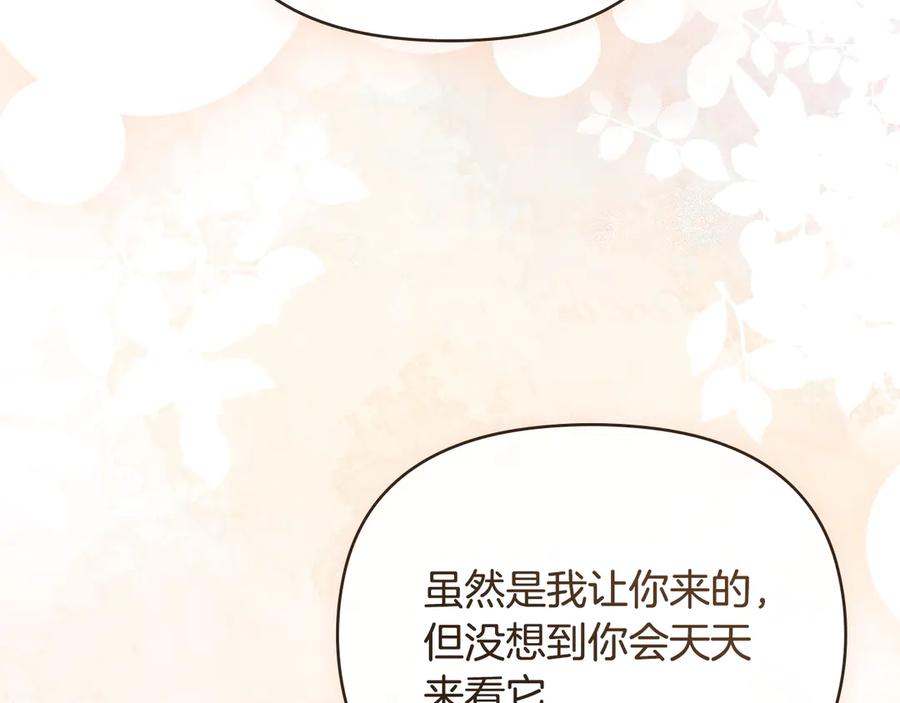 《公爵大人，请别太靠近》完结外传 第8话 跟着去留学 第124页
