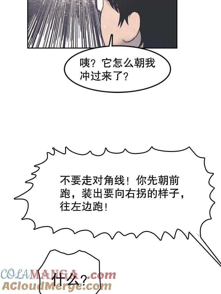 《欢迎收看书生秀》43.野猪袭击 第52页
