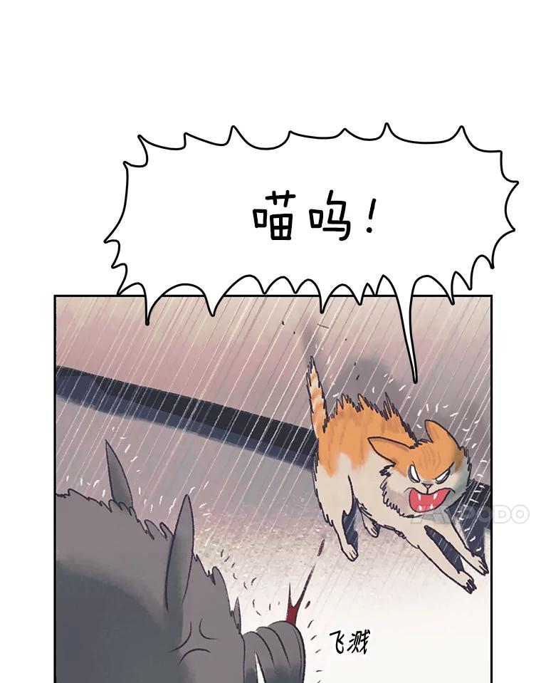 《欢迎收看书生秀》44.野猪再现 第64页